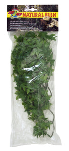 congo ivy M 55cm
