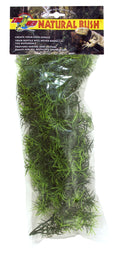 cashuarina M 55cm