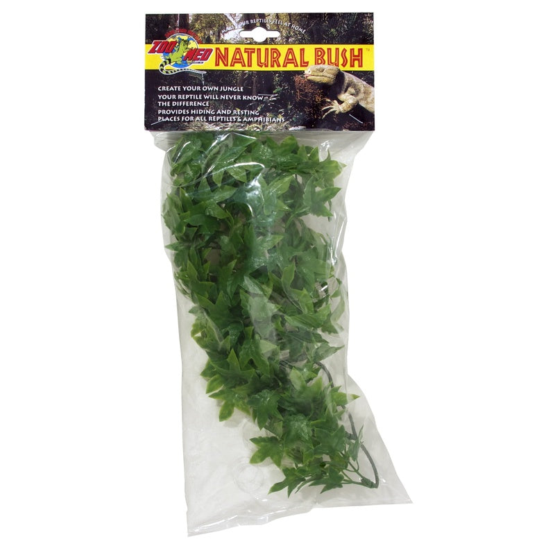 congo ivy L 80cm