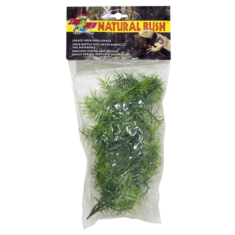 cashuarina L 80 cm