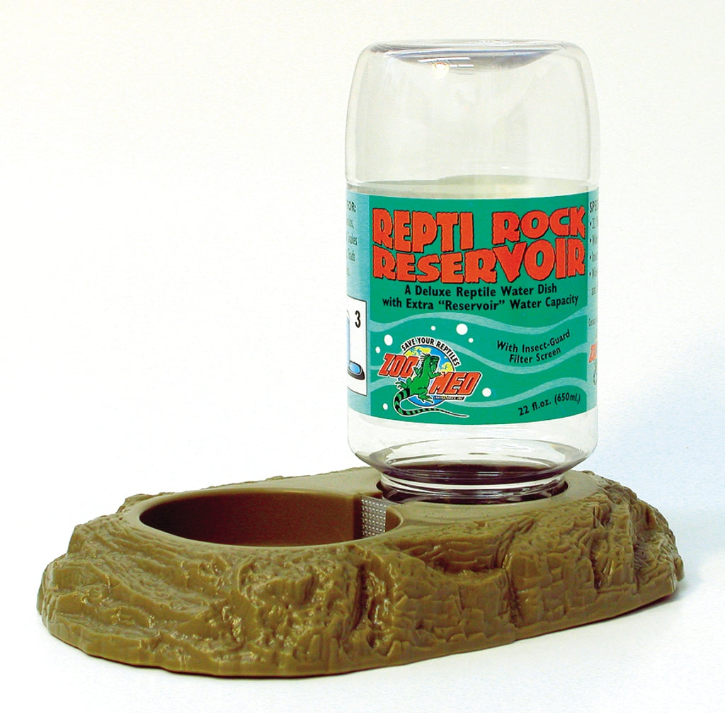 rèptil Imatge principal del producte