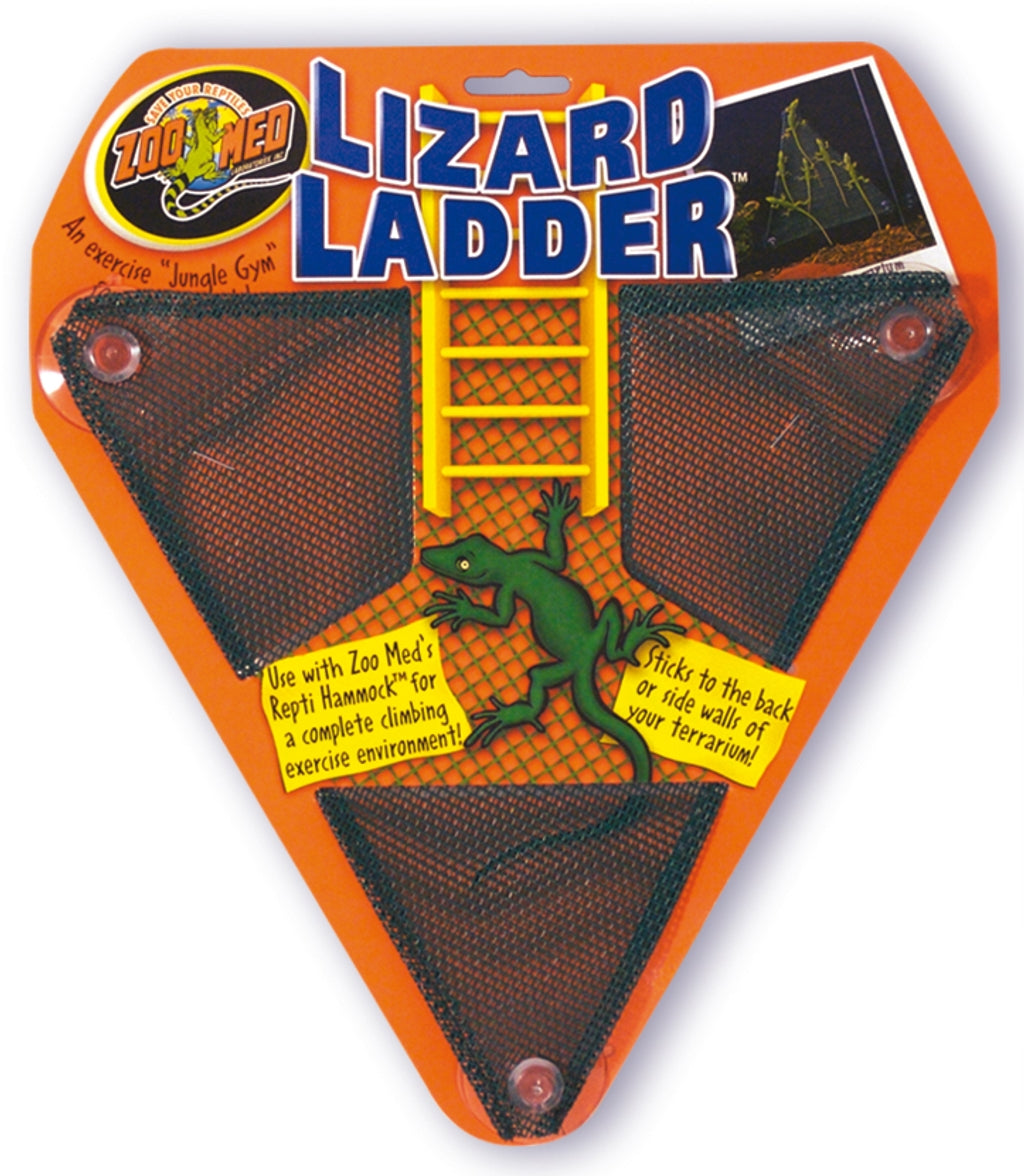 escalera lagarto