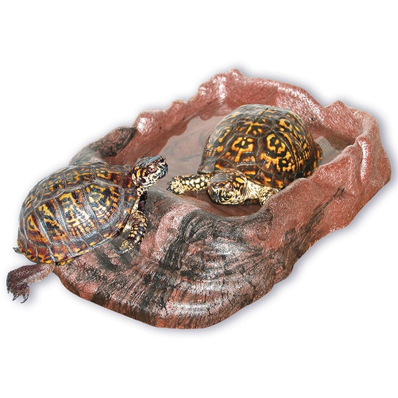 '+ bebedero reptiles con rampa L