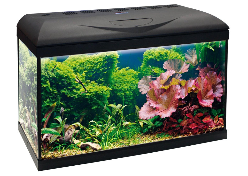 Amtra Riviera Basic Imagen secundaria del producto