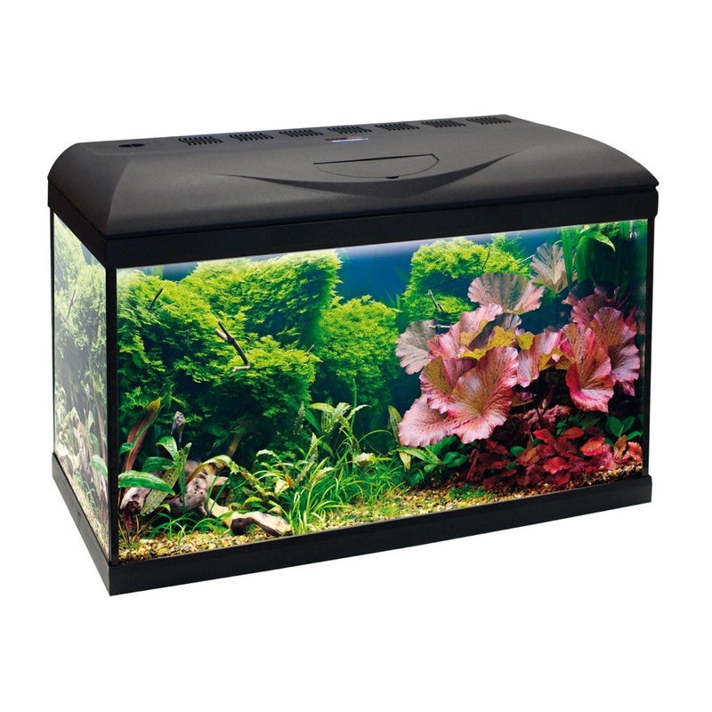 riviera basic 60 cm led 65 l
