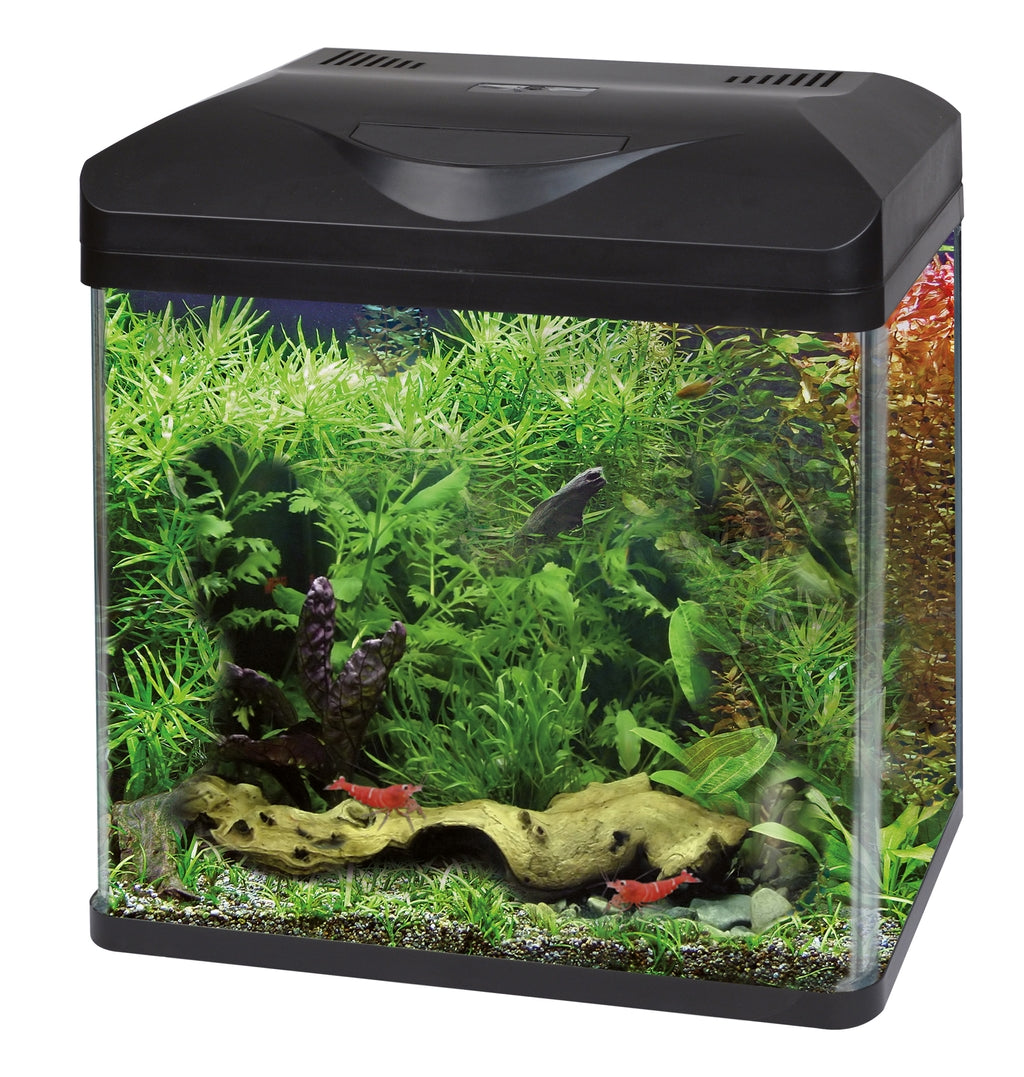 Amtra Laguna LED Imagen secundaria del producto