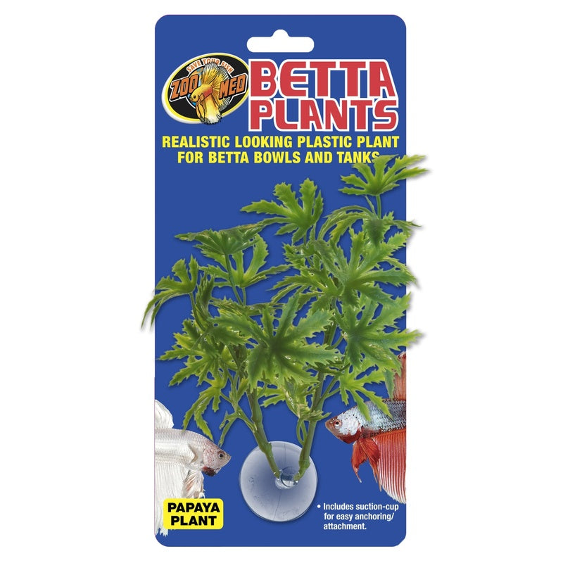 planta betta papaya Imatge principal del producte