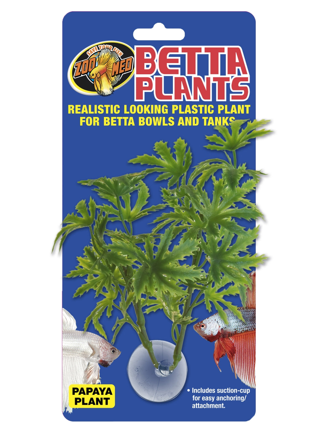 planta betta papaya