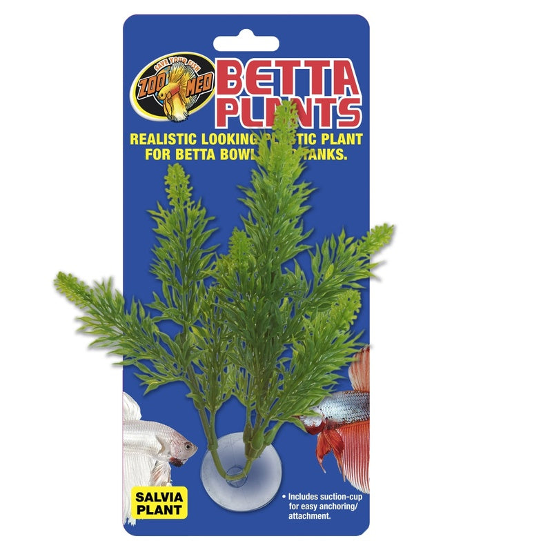 planta betta salvia Imatge principal del producte