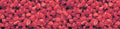 sorra color vermell 2 kg