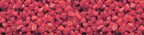 sorra color vermell 2 kg