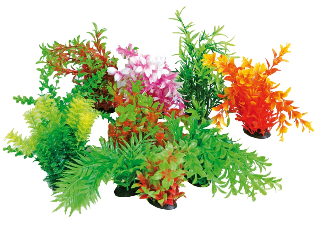 planta tropical 22-25cm