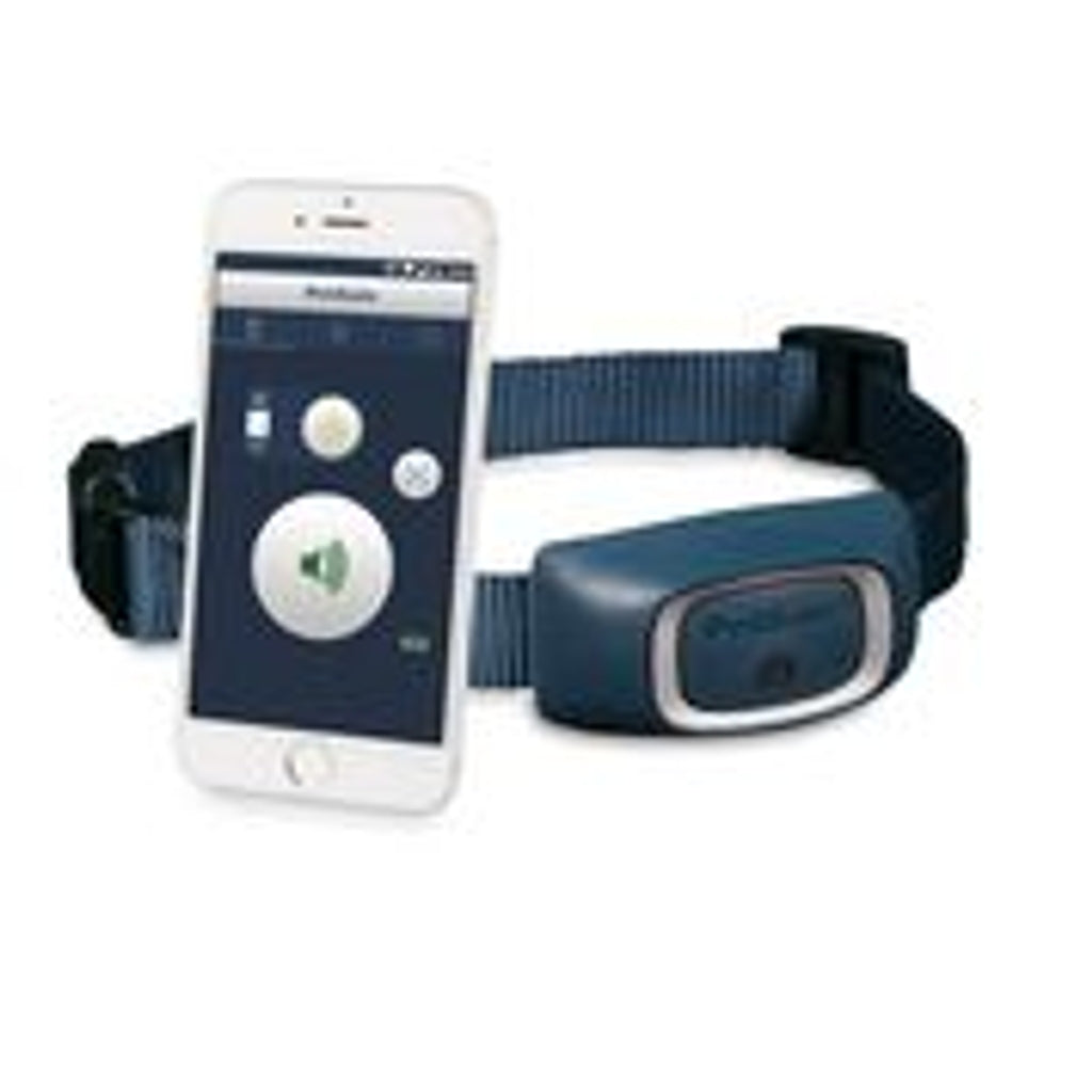 Smart dog trainer (uso amb móvil o tablet) Imatge principal del producte