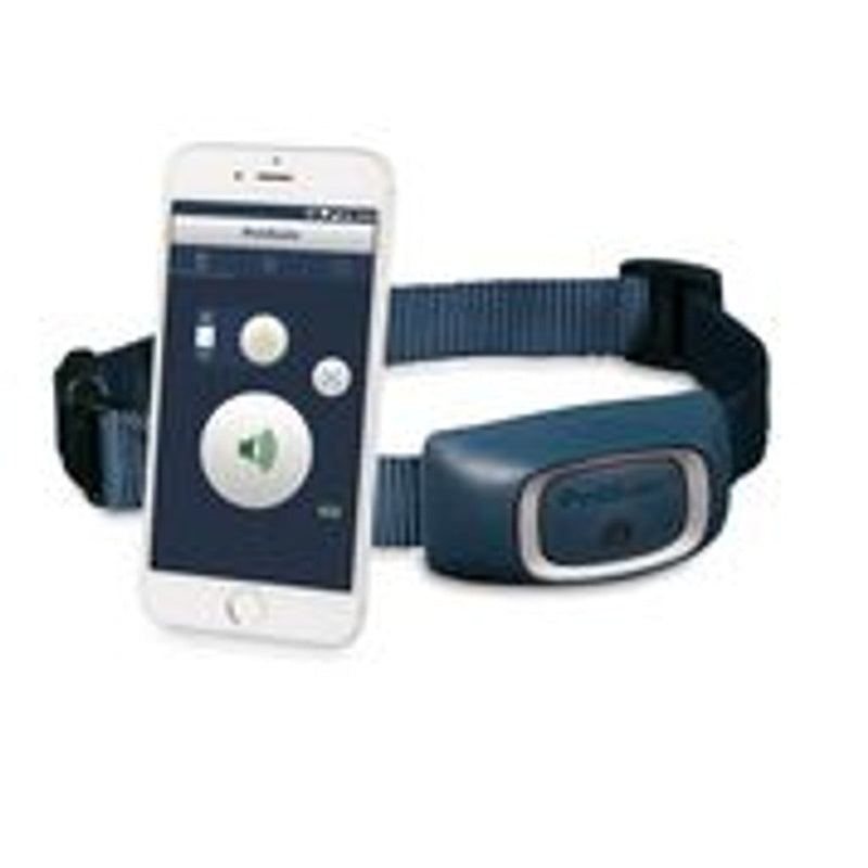 Smart dog trainer (uso con móvil o tablet) Imagen principal del producto