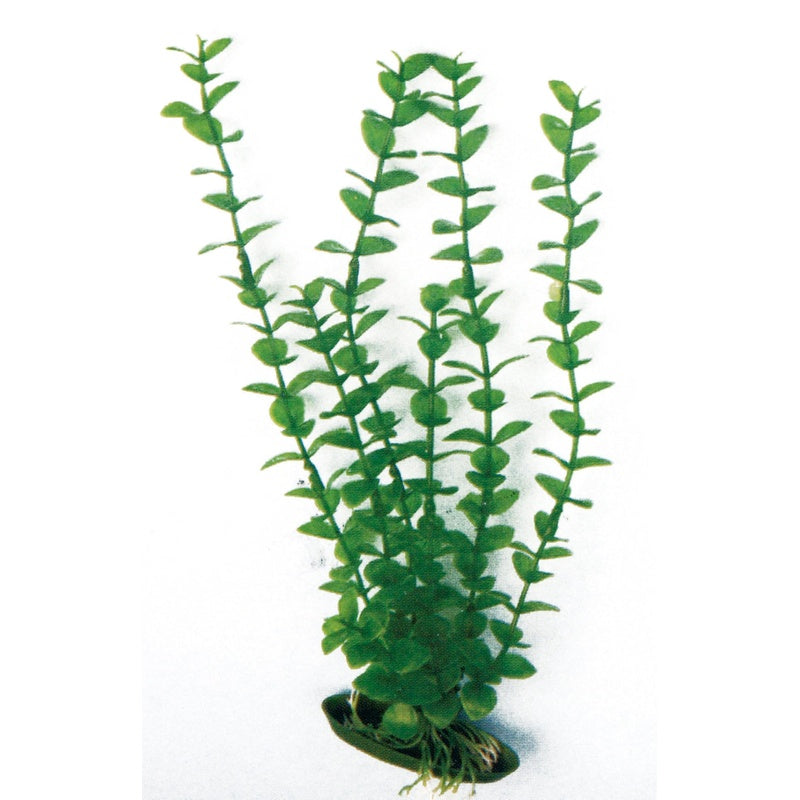 de plástic rotala Imatge principal del producte