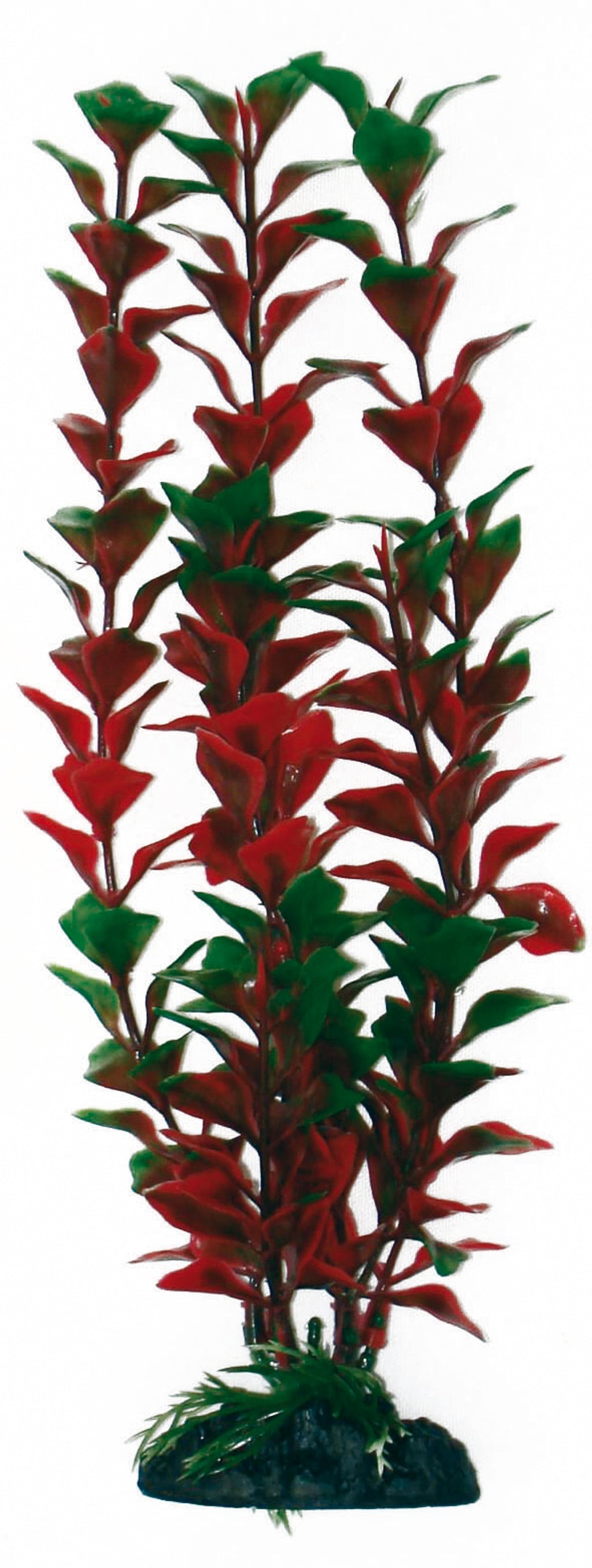 de plástico ludwigia Imagen principal del producto