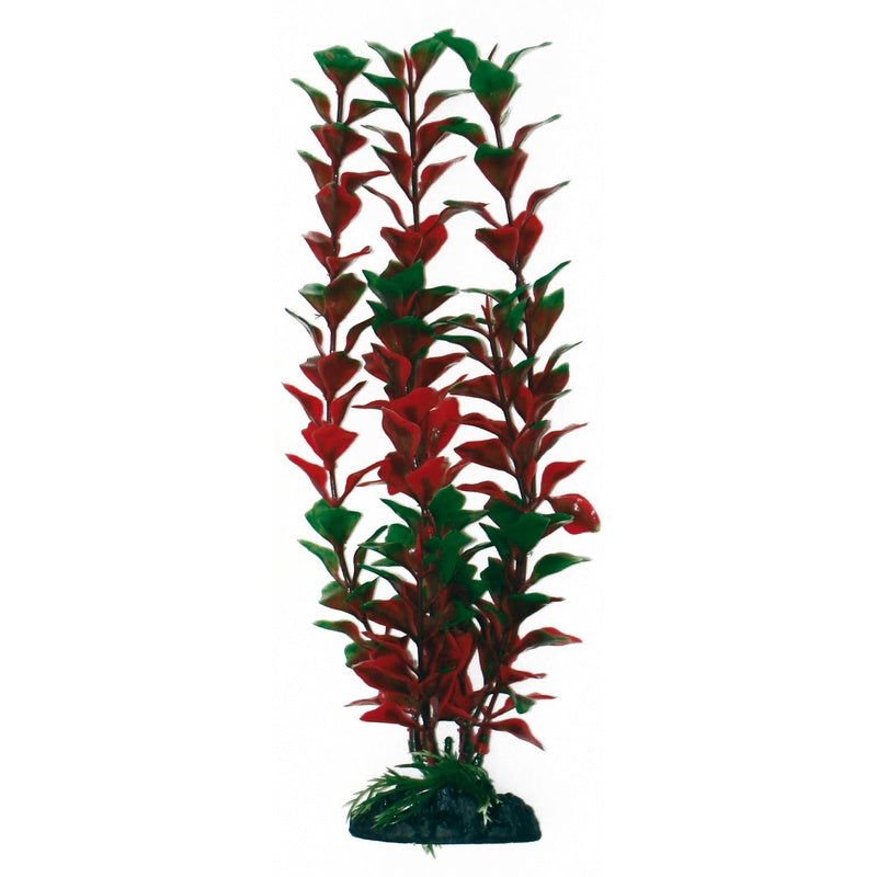 de plástic ludwigia Imatge principal del producte