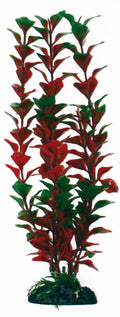 de plástico ludwigia grande