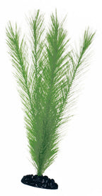 de plástico blyxa mediana