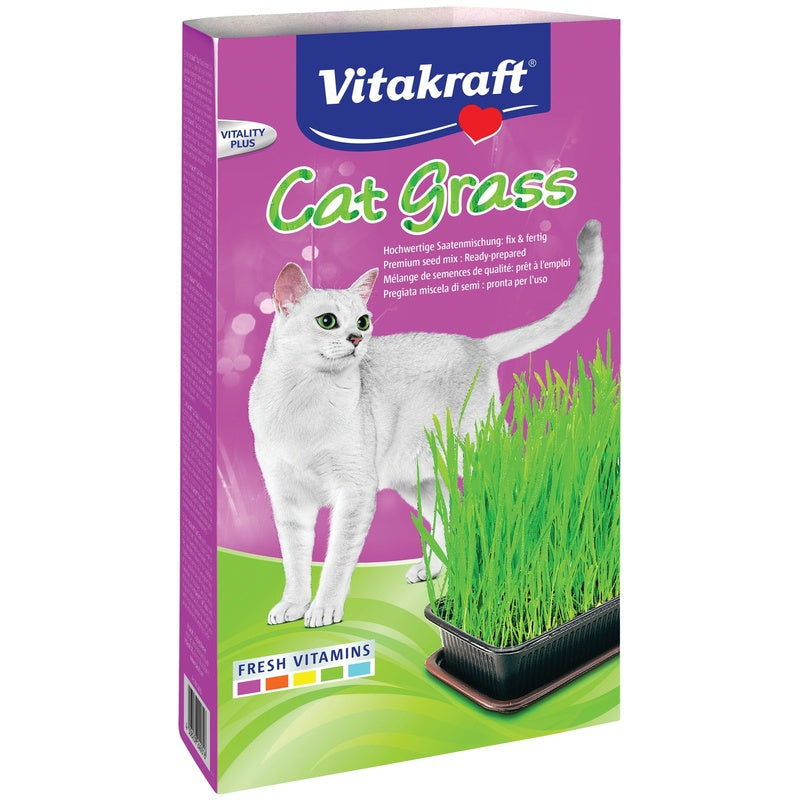 Cat grass 120gr Imagen principal del producto