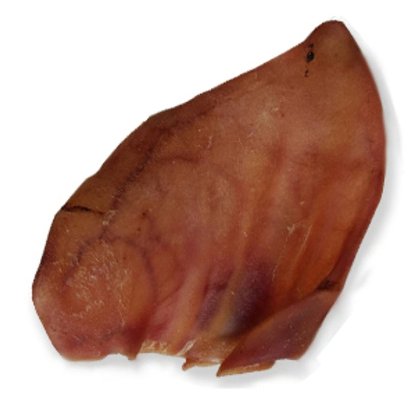 oreja de porc pequeña 10un
