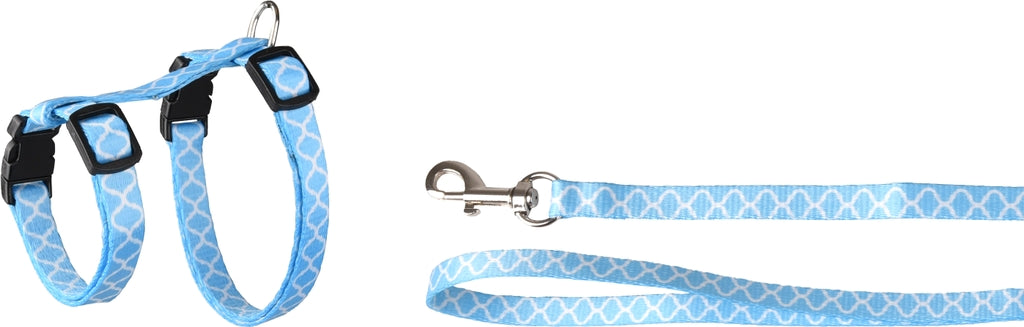 gato + correa