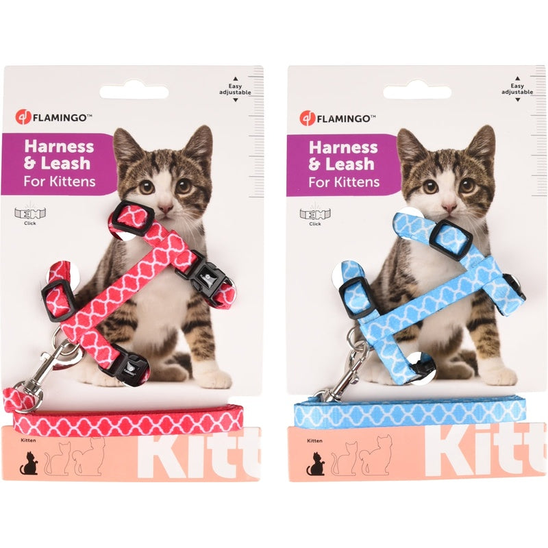 gato + correa s amsi 15-25cm 10mm