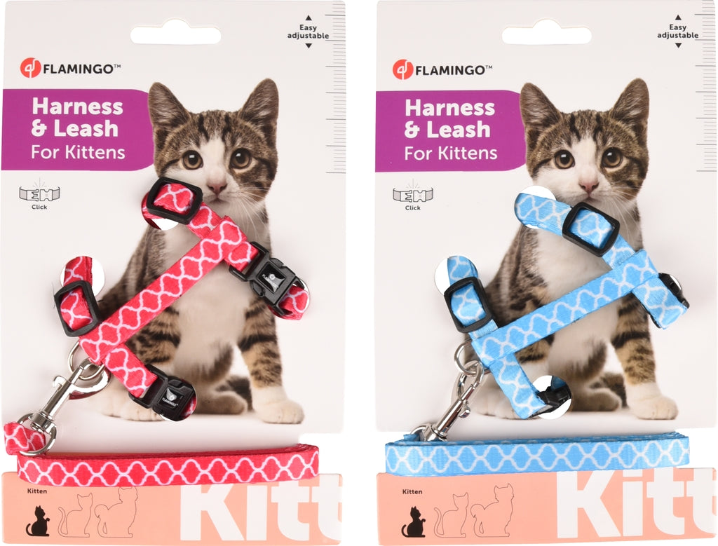 gato + correa s amsi 15-25cm 10mm