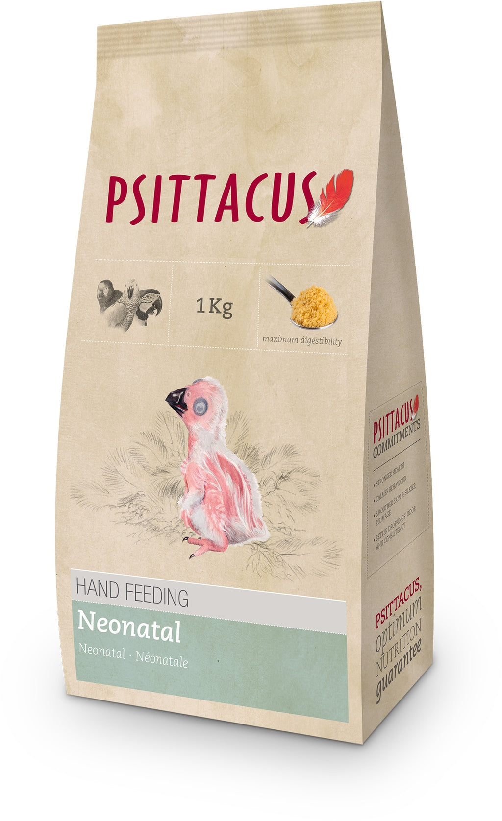 papilla loros neonatal 1kg