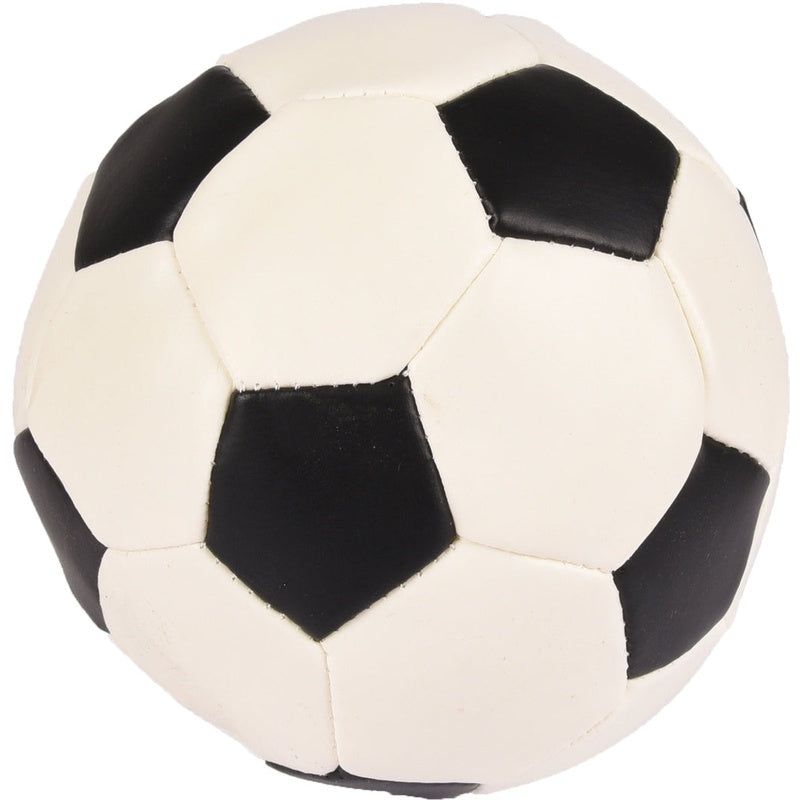 pelota grande Imagen principal del producto