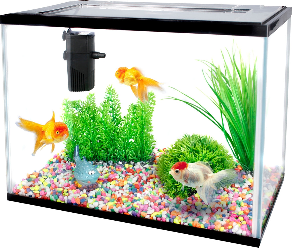 completo Lollipop 16L - 36cm Imagen principal del producto