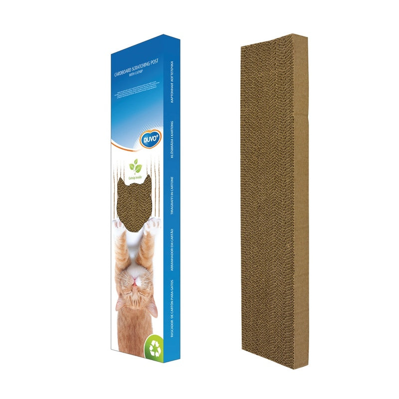 de cartón amb catnip Imatge principal del producte