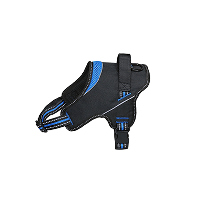 Strong blau Imatge principal del producte