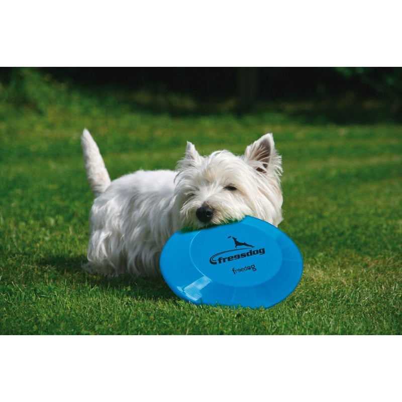 frisbee plástic 20 cm Imatge principal del producte