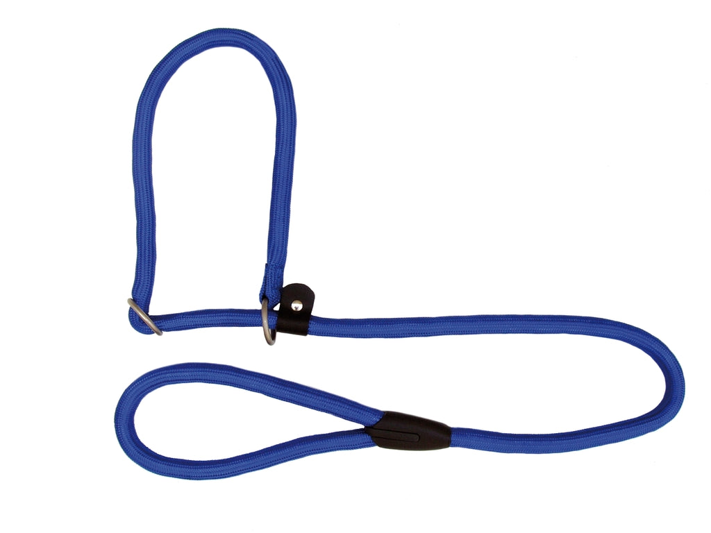 Freedog con collar Azul Imagen secundaria del producto