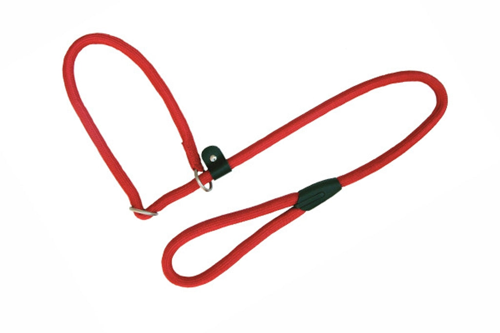 Freedog con collar Rojo Imagen secundaria del producto