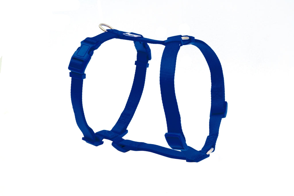 Freedog Nylon Azul Imagen secundaria del producto