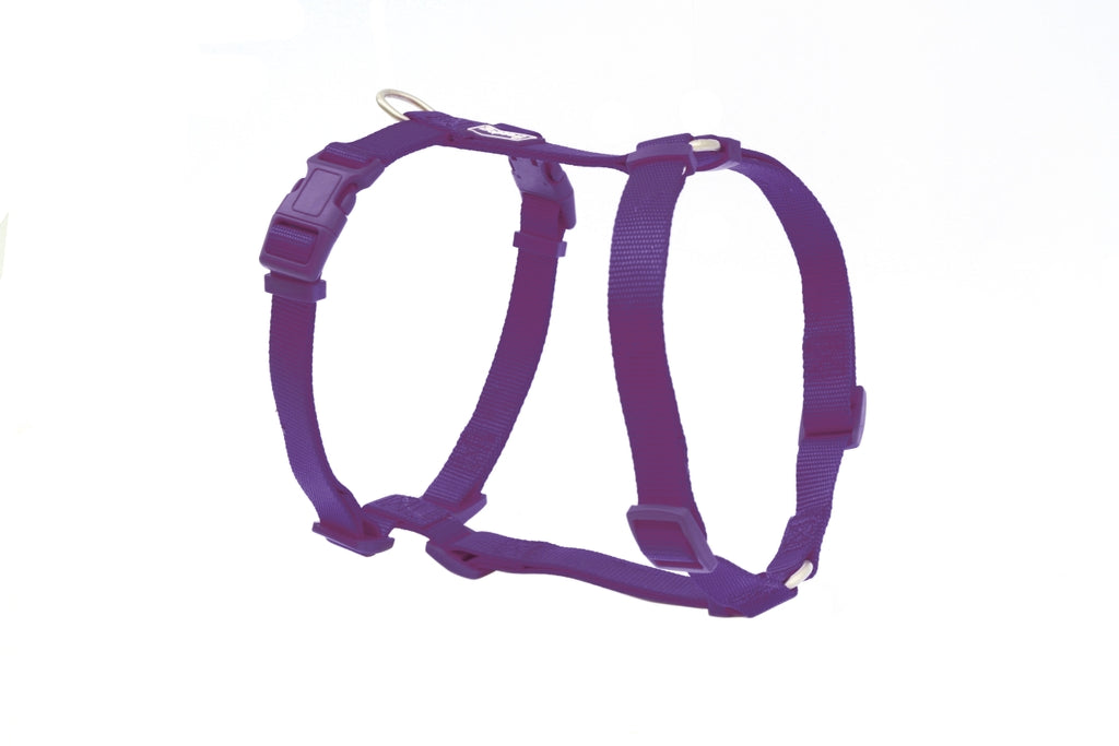 Freedog Nylon Lila Imagen secundaria del producto