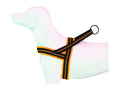 Soft-sport naranja XXS-15mmx42/50cm