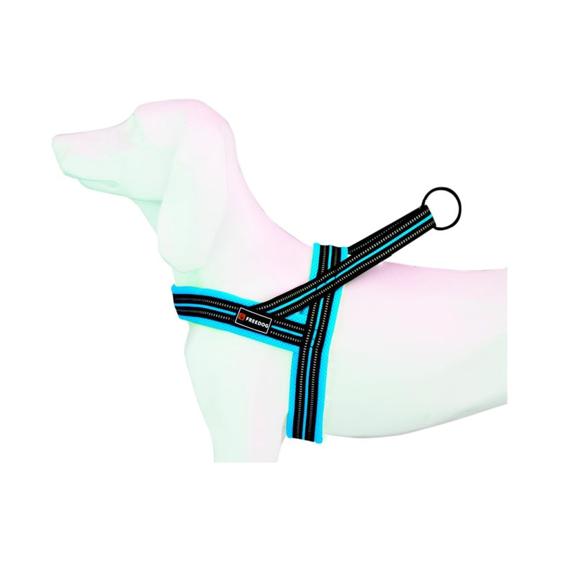 Soft-sport turquesa XXS-15mmx42/50cm