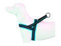 Soft-sport turquesa XXS-15mmx42/50 cm