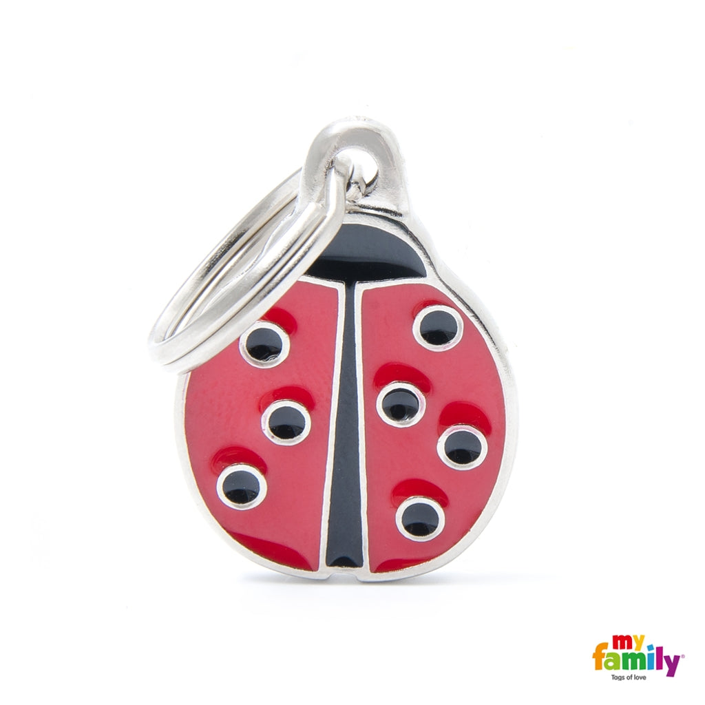 Charms ladybug