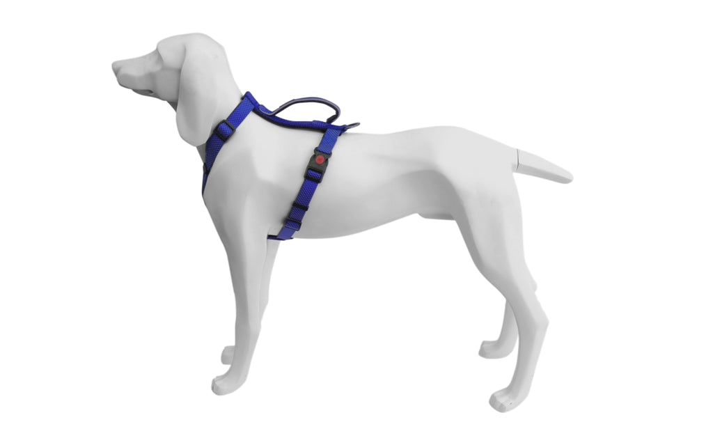 extreme azul 15mmx40/56cm