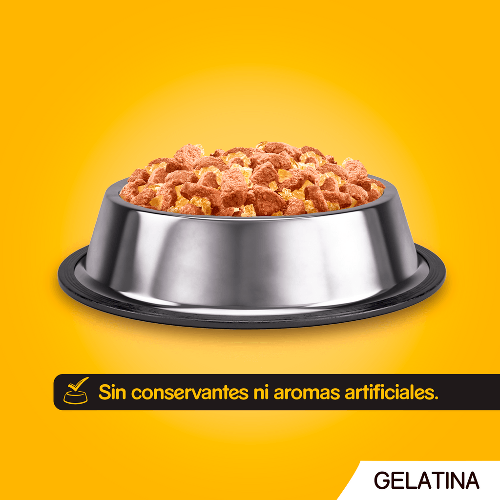 perro gelatina carn multipack 12x100gr