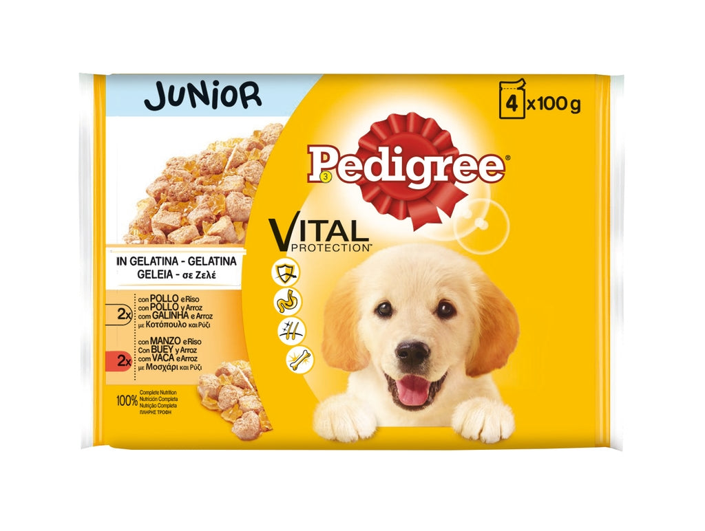 perro junior pollo sobre 4x100gr Imagen principal del producto