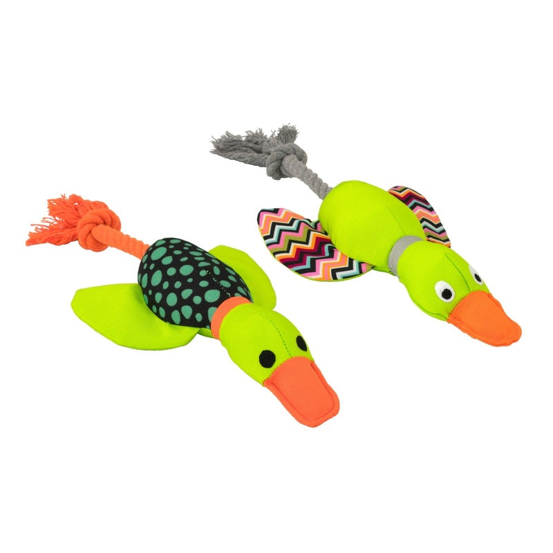 ànec Harry cuerda dental 33cm