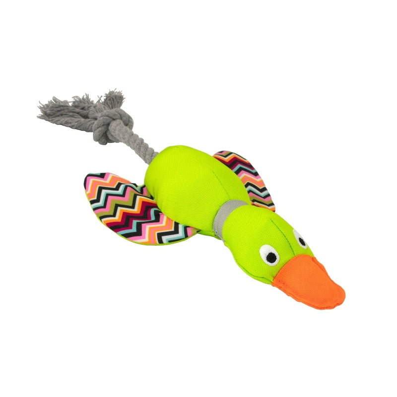 ànec Harry cuerda dental 33cm