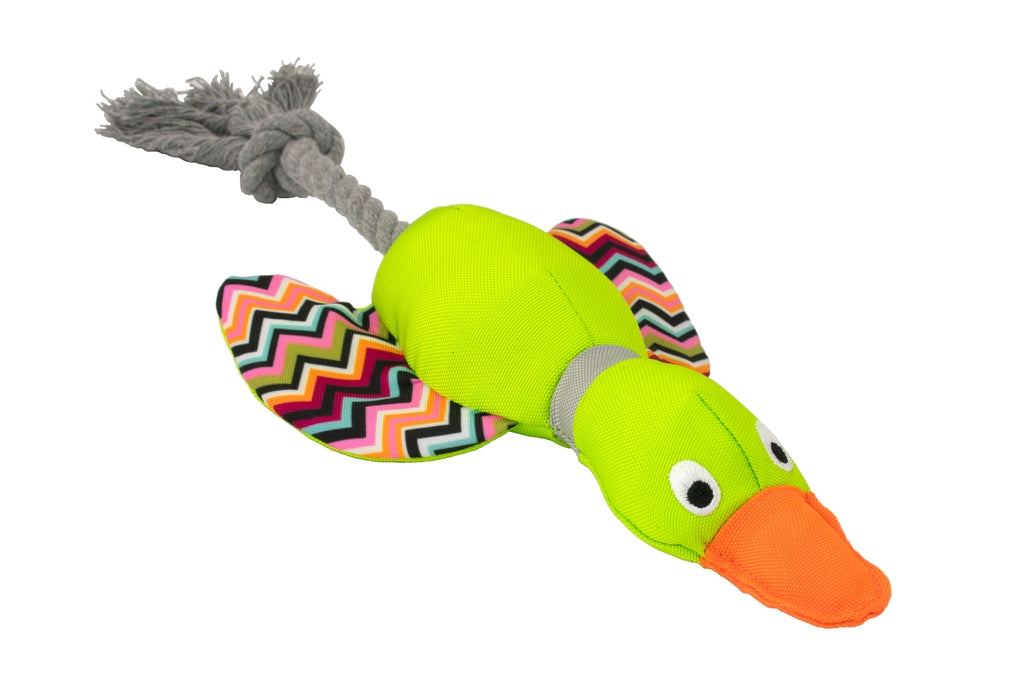 ànec Harry cuerda dental 33cm
