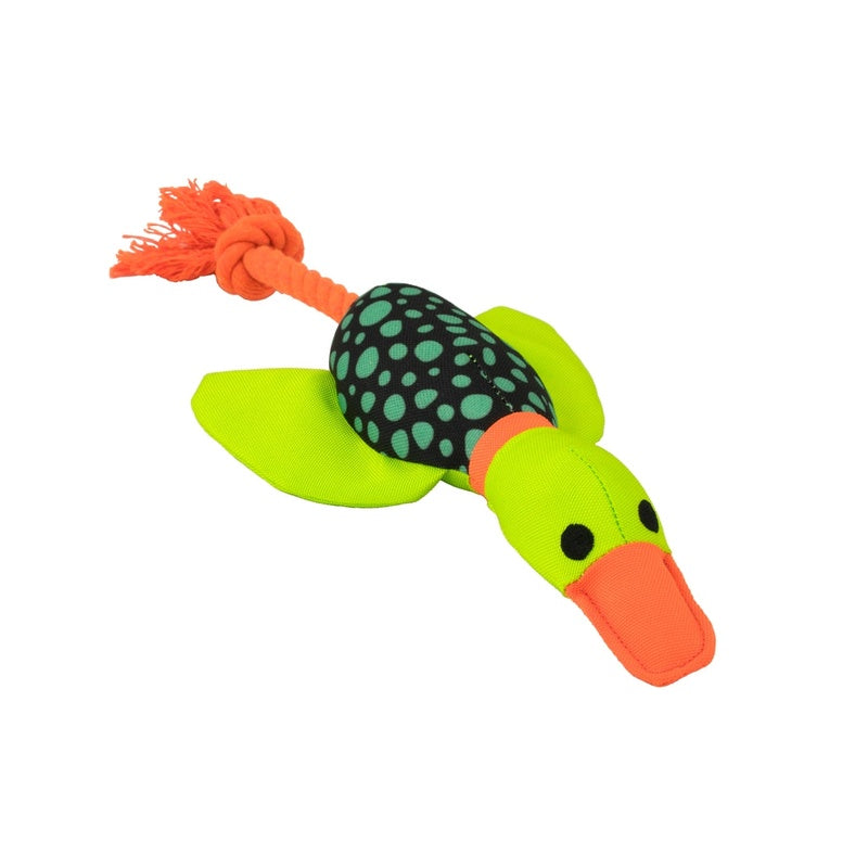 ànec Harry cuerda dental 33cm