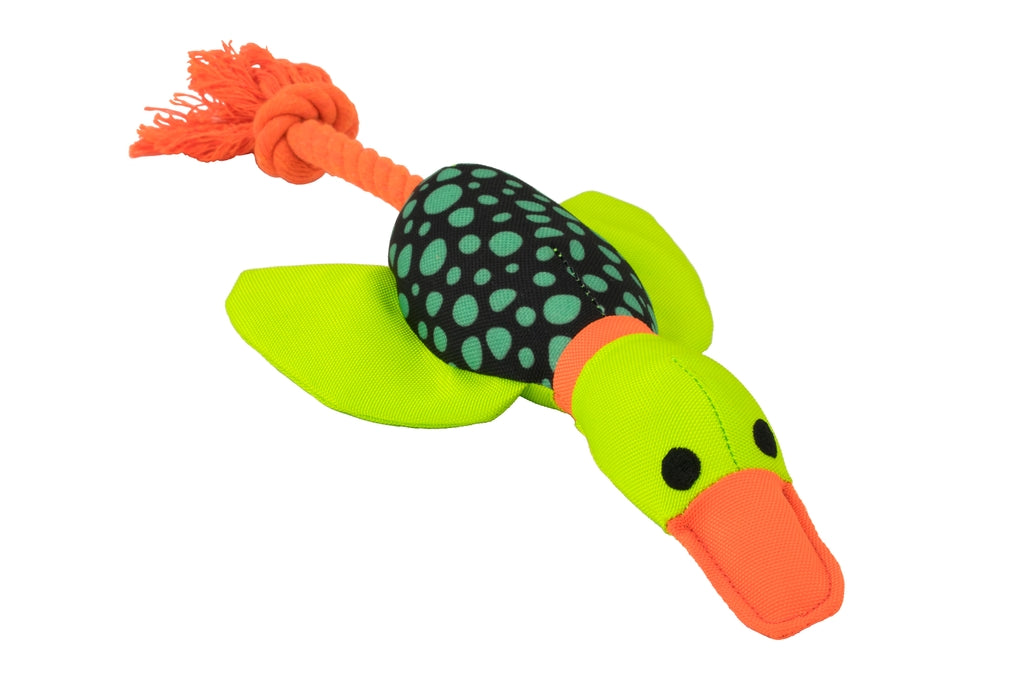 ànec Harry cuerda dental 33cm